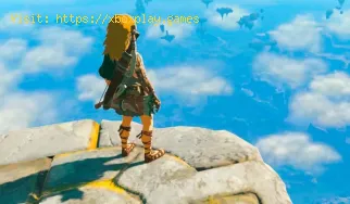 Wo findet man Tulin auf dem Hebra-Südgipfel in Zelda Tears Of The Kin