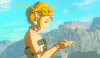 Wie bekomme ich Konstruktionsmaterialien in Zelda Tears Of The Kingdom