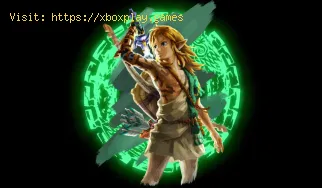 Cómo conseguir el casco de bárbaro en Zelda Tears of the Kingdom