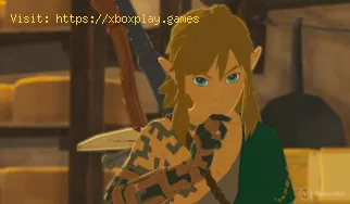 Cómo conseguir la Túnica Oscura en Zelda Tears of the Kingdom