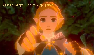Dónde encontrar la gaceta del trébol de la suerte en Zelda Tears Of 