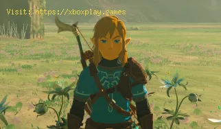 Cómo salir de las Profundidades en Zelda Tears of the Kingdom