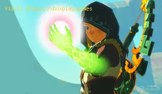 Cómo obtener el traje de sigilo en Zelda Tears of the Kingdom