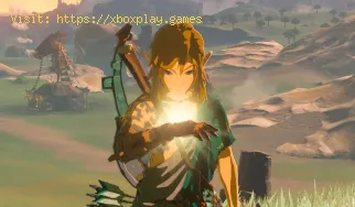 Cómo obtener cuernos de escarcha de Gleeok en Zelda Tears of the King