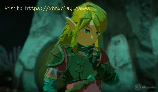 Cómo obtener Skyshrooms en Zelda Tears of the Kingdom