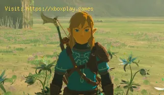 Cómo obtener bayas silvestres en Zelda Tears of the Kingdom