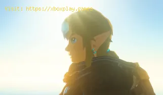 Cómo conseguir poes en Zelda Tears of the Kingdom
