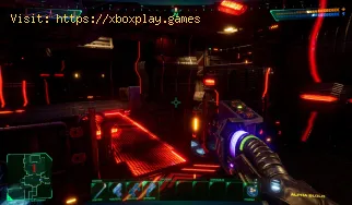 Wie kann ein System Shock-Absturz behoben werden?
