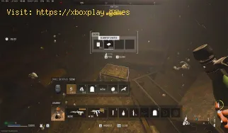 Cómo completar la misión del tesoro natural en Warzone 2 DMZ