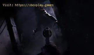 Wie behebt man niedrige FPS bei Amnesia The Bunker?