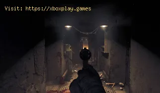 Wo finde ich das Kaninchenspielzeug in Amnesia The Bunker?