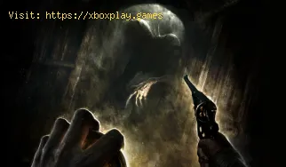 Wie gehe ich mit Ratten in Amnesia The Bunker um?