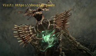 Come correggere il bug del muro rosso di Diablo 4 Reject Mother