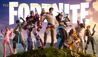 Wie behebt man, dass Fortnite-Texturen unter Windows 11 nicht geladen 
