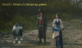 Cómo desactivar los bordes rojo, azul y verde en Final Fantasy XVI
