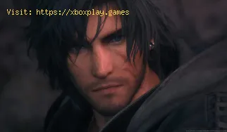 Cómo arreglar los elementos de uso automático de Final Fantasy XVI t