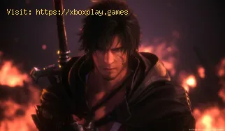 Wie kann man Torgal in Final Fantasy XVI aufleveln?
