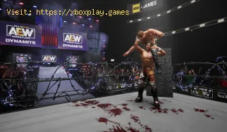 Wie kann ein AEW Fight Forever-Absturz behoben werden?