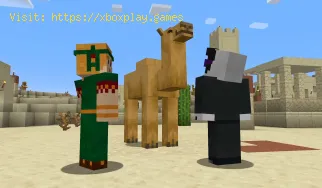 Wie behebe ich den Minecraft-Exit-Code -805306369?