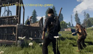 Cómo encontrar y personalizar remolcadores en Rust