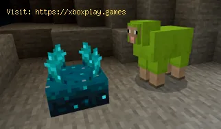 Como rastrear em Minecraft Bedrock