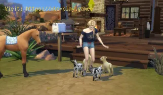 Völlig neue Eigenschaften und Ambitionen in Sims 4 Horse Ranch