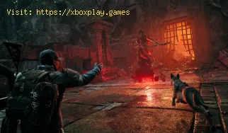 Wie bekomme ich das Realmwalker-Set in Remnant 2?