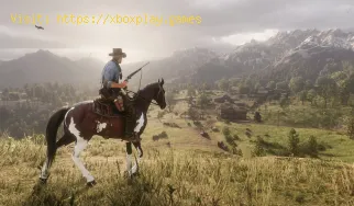 Red Dead Redemption 2 : Comment utiliser le mode photo