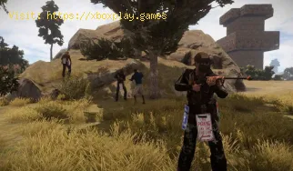 Cómo cambiar de personaje en Rust