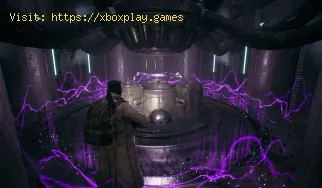 Wie bekomme ich das Relikt des ruhigen Herzens in Remnant 2?