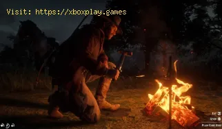 Red Dead Redemption 2: alle Rezepte