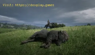 Red Dead Redemption 2: Wie man in der ersten Person spielt - Tipps und