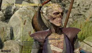 Cómo reparar el error NATPunch de Baldur's Gate 3