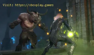 Come correggere il cucciolo di gufo che non appare in Baldur's Ga