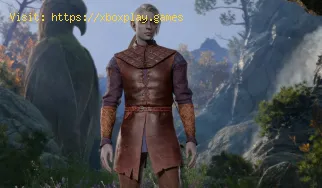 Dove trovare il tuo accampamento principale in Baldur’s Gate 3