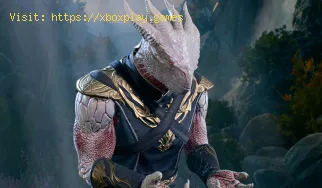 ¿Deberías salvar o matar a Nightsong en Baldur's Gate?