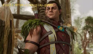 Cómo obtener puntos de inspiración en Baldur's Gate 3