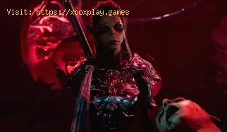Cómo tener un romance con el oso en Baldur's Gate 3