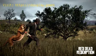 Red Dead Redemption 2: Wo findet man Pumas?