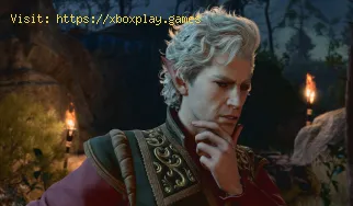 Cómo reparar el código de error 302 de Baldur's Gate 3