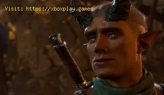 Cómo arreglar Baldur's Gate 3 perdió todo el progreso del juego