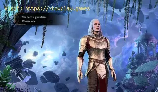 Cómo arreglar el retrato de miembro del Black Party de Baldur's 