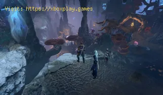 Cómo entrar en madrigueras en Baldur's Gate 3