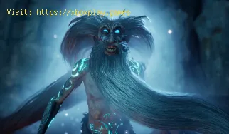 Wie behebt man niedrige FPS bei Gord?