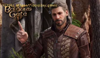 Come riparare la valvola di lava bloccata da Baldur's Gate 3