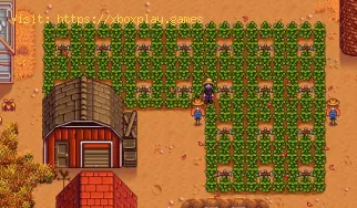 Wie rüsten Sie Ihr Haus in Stardew Valley auf?