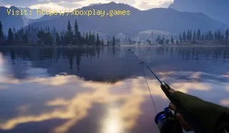 Wie kann man mit Call Of The Wild The Angler Geld verdienen?