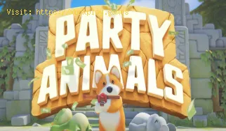 Wie kann ich das Problem beheben, dass die Anmeldung bei Party Animals