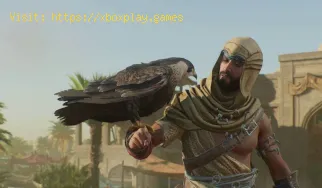 How to Solve Joy Beneath Weeping Palms Engima in Assassin’s Creed Mi