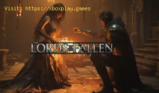 Wie kann man Lords of the Fallen im Spiel ändern?